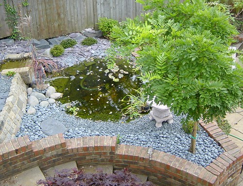 Lower pool - My Japanese garden